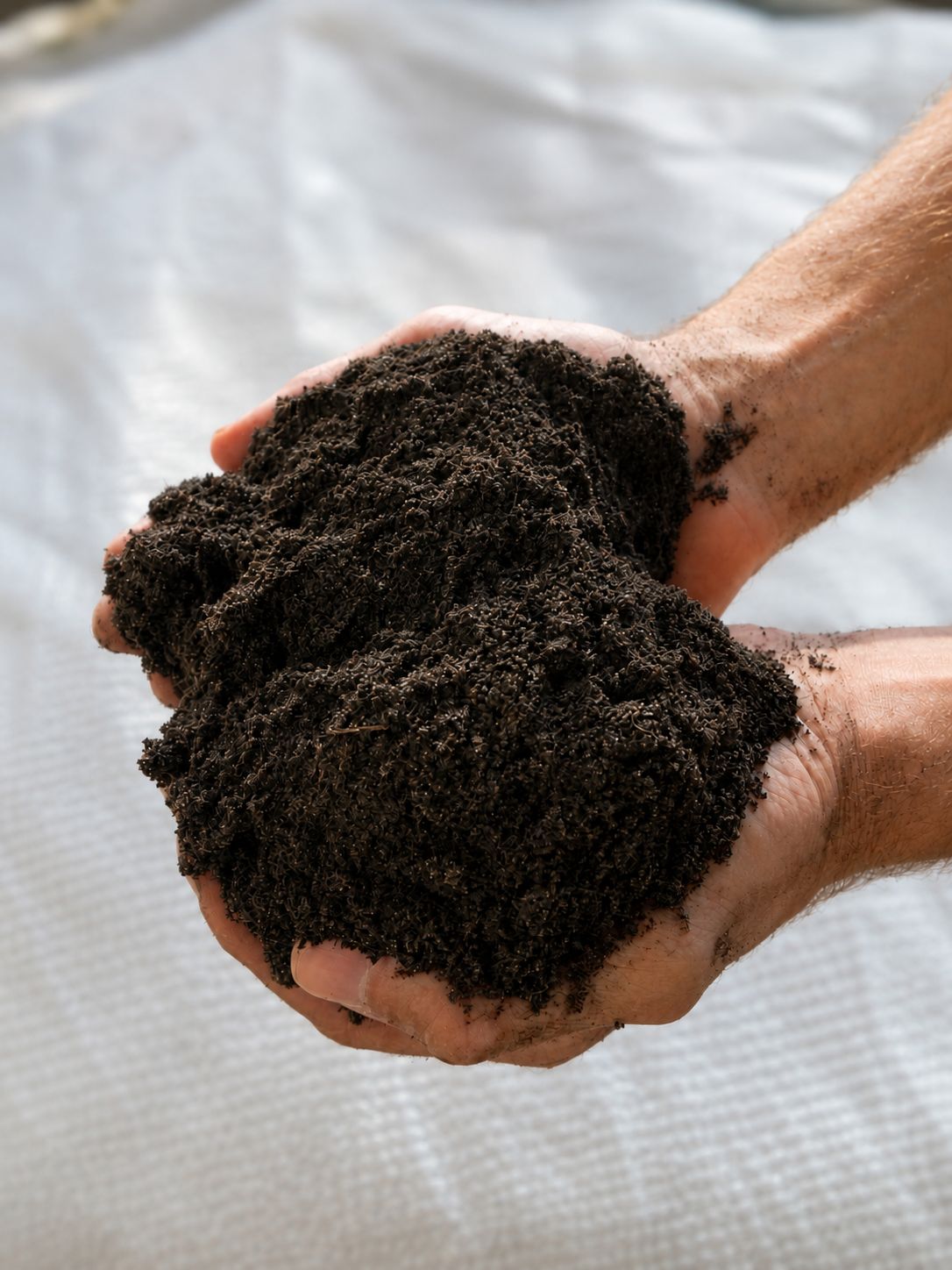 Premium screened topsoil held in two hands